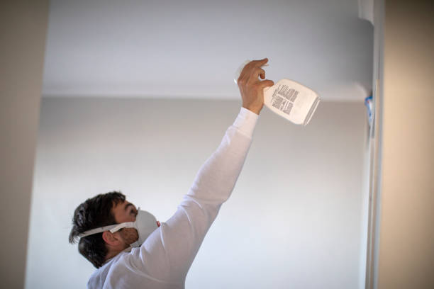 Best Residential Mold Remediation in El Paso, IL